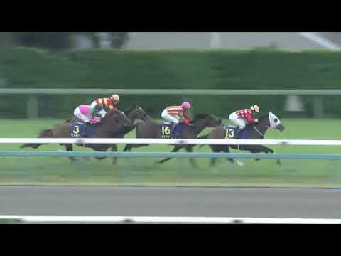 初日高升23/04/16……(  S1  )第六塲日本二千堅尼一級2000米