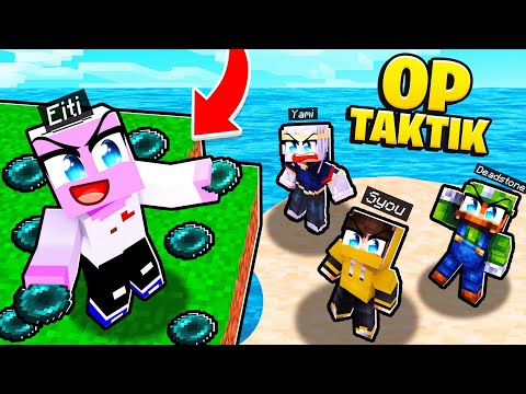 🏆 DAS FINALE GEWINNEN wir mit DIESER GEHEIMEN TAKTIK in MINECRAFT RISIKO!