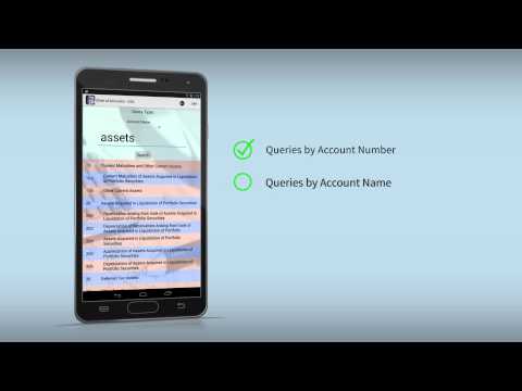 Chart of Accounts - USA