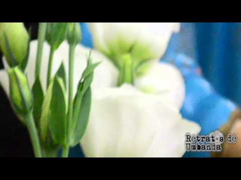 RETRATOS DE UMBANDA - Teaser Tupã Oca do Caboclo Arranca Toco