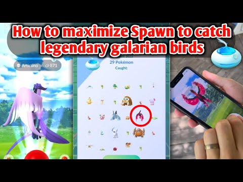 Pokémon GO  Os Pokémon mais raros e difíceis de capturar - Canaltech