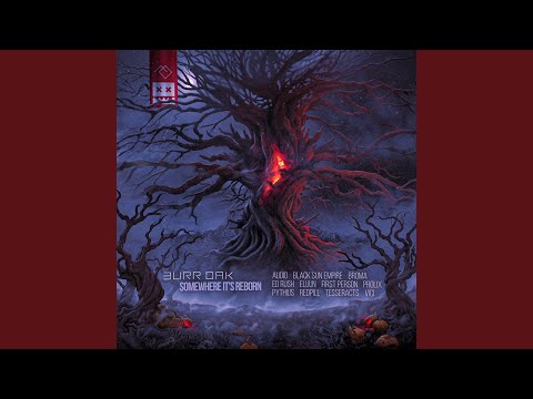 Twain Wolves (Black Sun Empire Remix)