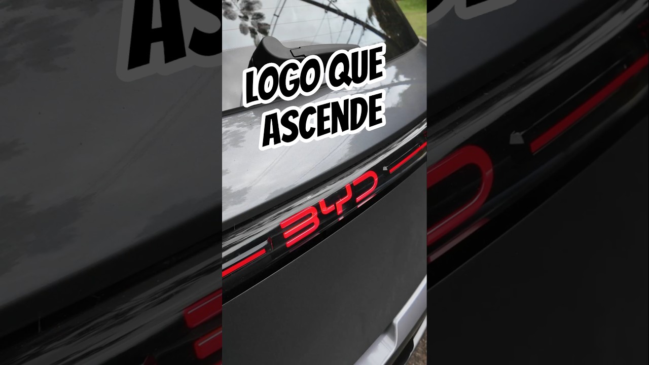 Gosta de logo que ascende?