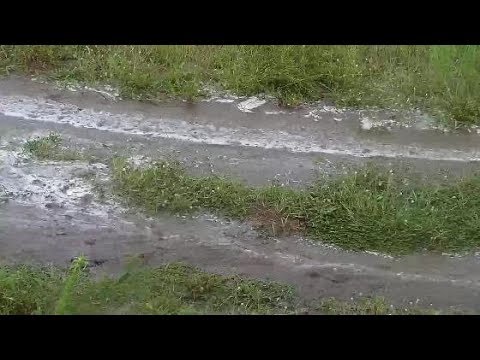 Djuma: Sights and sounds with storm going on-Pt:2.- 17::04 - 03/14/20