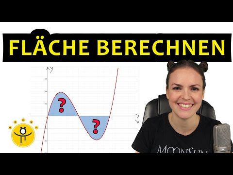 FLÄCHE berechnen INTEGRAL – Integralrechnung Flächenberechnung