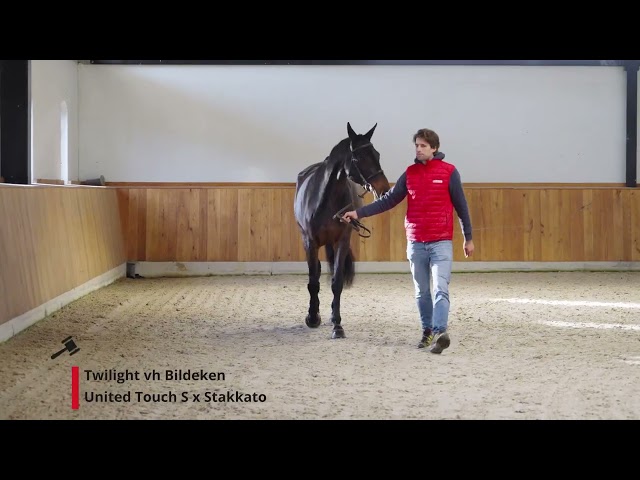 Twilight vh Bildeken