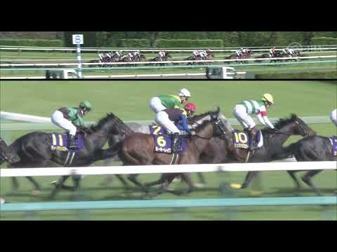 EFFORIA DOMINATES IN THE SATSUKI SHO - Horse Racing Tote