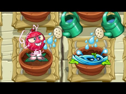 All Animation Electric Plants In Zen Garden - Plants Vs Zombies 2