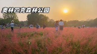 Autumn in the Olympic Forest Park, BeiJing