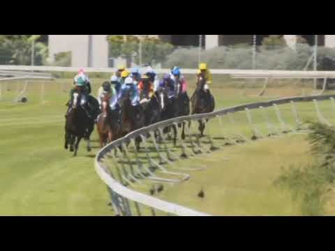 ZARINA - 2021 VASCO PRIX DU CAP (Grade 3)