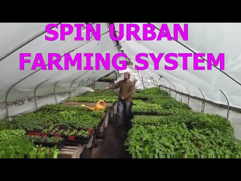 download lagu mp3 mp4 Small Plot Intensive Farming, download mp3 Small Plot Intensive Farming free download, download mp3 Small Plot Intensive Farming