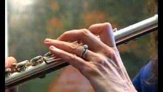 Video thumbnail for Powell 2100 Used Flute with Aurumite and Rose Gold - High Range Demo by Flutastic!