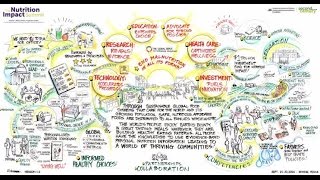 Nutrition Impact Summit: Collaboration, Excitement, Knowledge