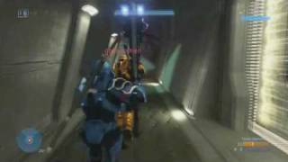 Following The Leader