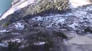 Подборка приколов 3#