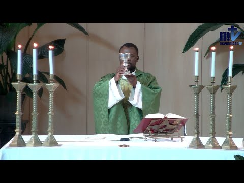 La Sainte Messe du jour | 27ème Dimanche du Temps Ordinaire |05-10-2025| P. Achille José Nkomo B, FM