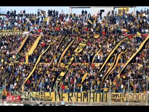 "Canciones ORIGINALES de la Hinchada de Peñarol" Barra: Barra Amsterdam &bull; Club: Peñarol
