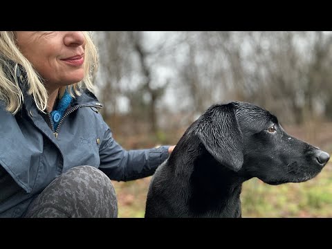 Katie Hopkins: RESTORE with Rupert Lowe. Finally we can vote with our heads & hearts 