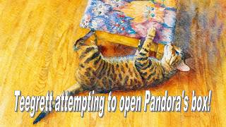 Teegrett won’t give up trying to open Pandora’s Box.