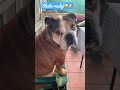 Giotto Waiting The Magic Word