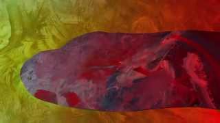 Mind Over Mirrors - Strange(r) Work (Official Music Video)