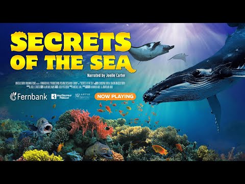 Secrets of the Sea