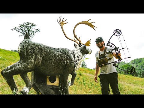 WINNING TAC TRUCK WITH BUDGET BOW