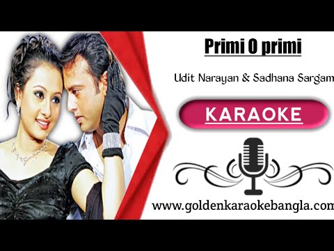 Premi O Premi | প্রেমী ও প্রেমী | Bangla karaoke By Udit Narayan & Sadhana Sargam with lyrics | Demo