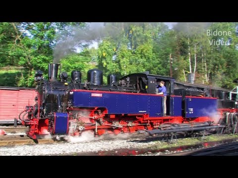 Eisenbahnen zwischen Erzgebirge und Rügen 4/4 Steam Trains - Züge - Dampfloks