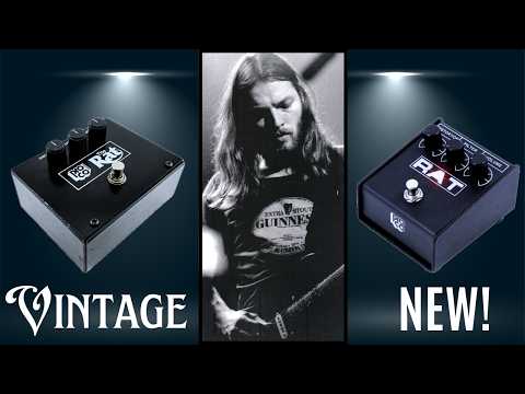 David Gilmour's RAT Tone: Vintage vs. New (Oscilloscope & A/B Test)