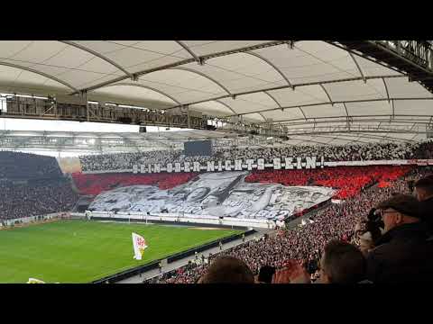 VfB Stuttgart vs. KSC CHOERO 24.11.19