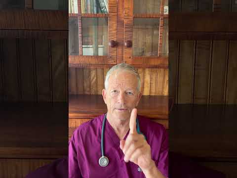 5 Things You Didn’t Know About Your Cat’s Kidney Disease