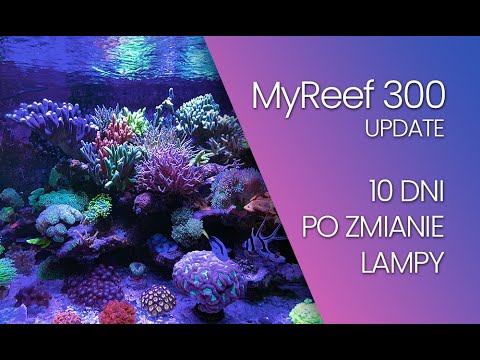 (180) MyReef 300 / 10 days after lamp change / Reef Flare Pro L Blue - Marine aquarium