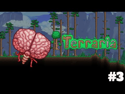 Terraria 1.4 Episode 3! I Brain of Cthulhu Fight! w/Glitchless