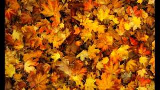 Childish Gambino - Lights Turned On