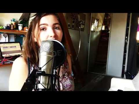 Le risque - Ben Ricour - Narcisse cover