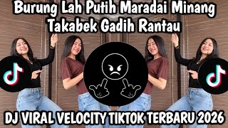Download lagu DJ BURUNG LAH PUTIH MARADAI MINANG || DJ TAKABEK GADIH RANTAU SOUND  VIRAL FYP TIKTOK TERBARU 2026 mp3