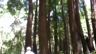 Big Sur coast in California