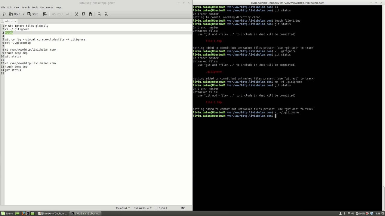Git Ignore files globally #76