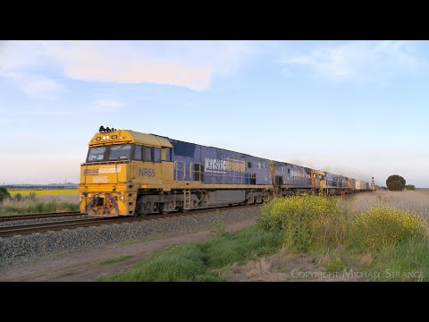 1MP2 Pacific National Freight Train With Empty Wagons (25/9/2022) - PoathTV Australian Railways