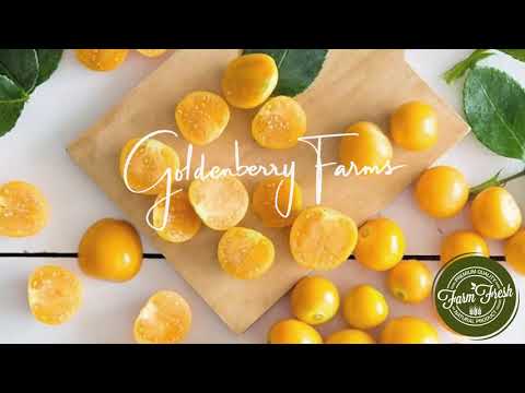 Welcome to Goldenberry Farms