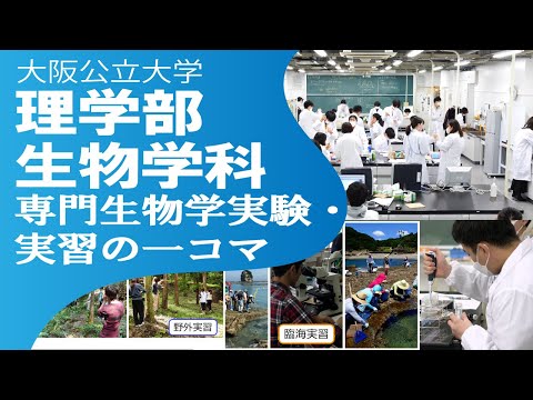 公共経営学科 大阪公立大学　理学部生物学科　専門生物学実験・実習の一コマ