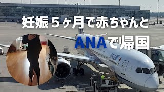 妊婦で長距離フライトしたらANAが神すぎた✈️感動のサプライズも…！#帰国Vlog