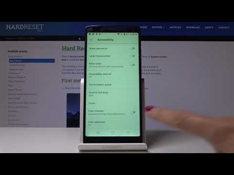 How to Invert Colors in DOOGEE Mix - Configure Display