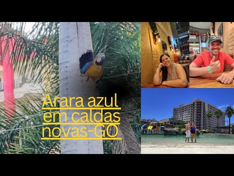 Water park caldas novas/clube privê parque aquático caldas novas / arara azul e empadão goiano !