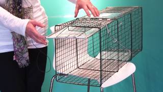 How to Set a Feral Cat Trap - Spay Neuter Charlotte