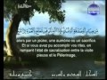 Sheikh As Sudais Ash Shuraim Al Qur An Juz 2