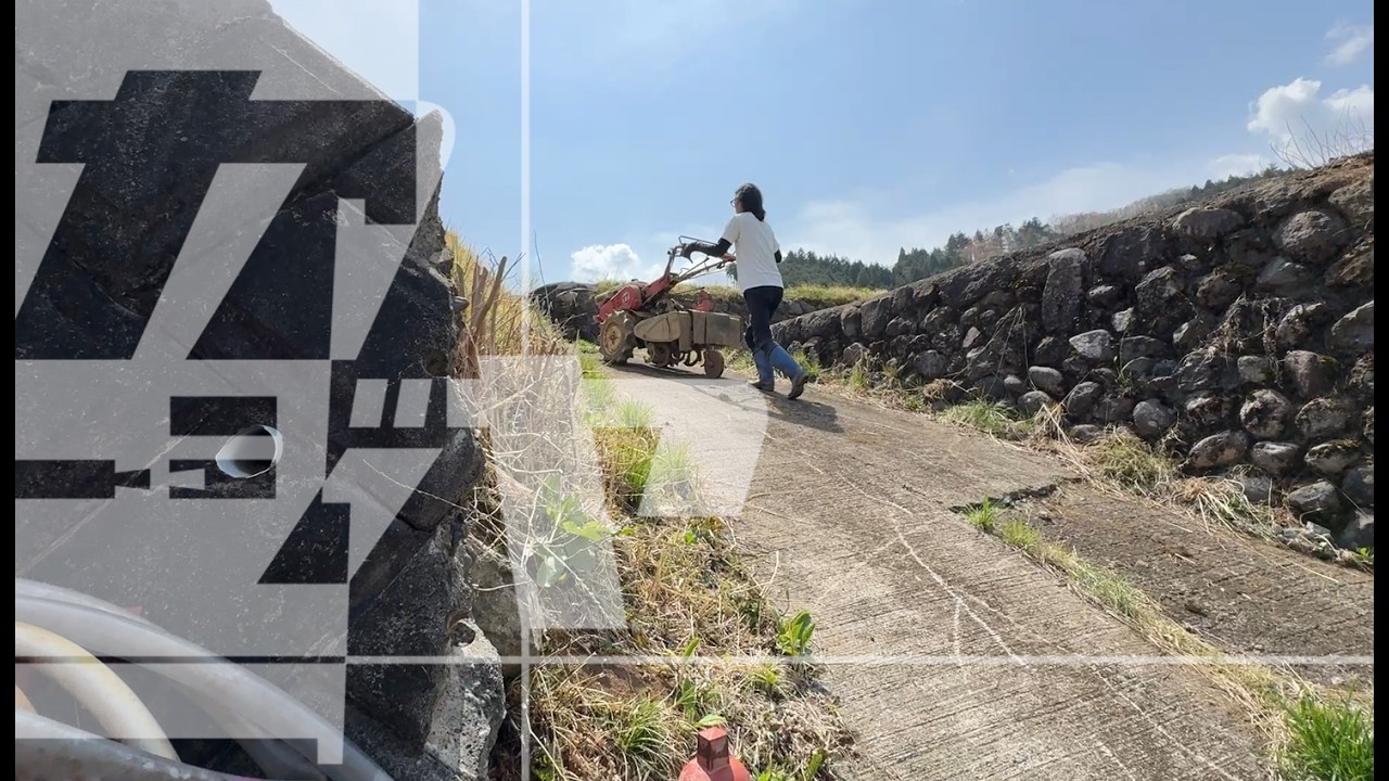 お米づくり騒動記「前編」