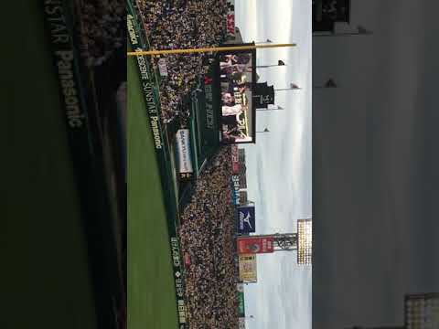 2019.07.21甲子園 石井竜也