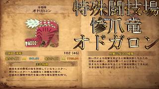 【切り抜き】限界までやり続けた後のMONSTER HUNTER WORLD：ICEBORNE 特殊闘技場オドガロン編